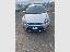 FORD Focus 1.6 TDCi 110 CV SW Tit. DPF