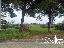 Terreno 3050 mq, zona Vaiano
