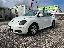 VOLKSWAGEN New Beetle 1.9 TDI 105CV Cabrio