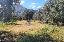 Terreno 5604 mq