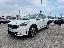 KIA Niro 1.6 GDi DCT HEV Style