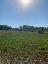Terreno 22000 mq, zona Castagnaro