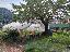 Bifamiliare, soggiorno, 3 camere