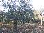 Terreno 10000 mq