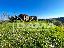 Casolare panoramico da ristrutturare – monte mirabello, predappio