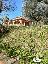 Villa in Vendita a Sarzana