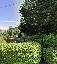 Rustico 400 mq, zona Galzignano Terme - Centro