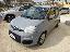 FIAT Panda 1.3 MJT 95 CV S&S Easy