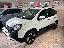FIAT Panda 1.0 FireFly S&S Hybrid Pandina