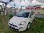FIAT Punto 1.3 MJT II 75 CV 3p. Easy
