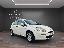 FIAT Punto 1.3 MJT II 75 CV 5p. Street