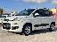 FIAT Panda 0.9 TwinAir Turbo AUTOMATICA Lounge