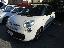 FIAT 500L 1.3 MJT 95 CV Business