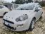 FIAT Punto 1.2 8V 5p. Lounge