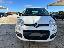 FIAT Panda 1.3 MJT S&S Young
