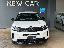 CITROEN C5 Aircross BlueHDi 130 S&S EAT8 Shine