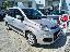 FIAT Panda 1.2 Easy GPL