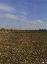 Terreno 29000 mq