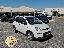 FIAT Panda 1.0 FireFly S&S Hybrid City Life IVA DEDUC.