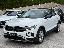 VOLKSWAGEN T-Roc 2.0 TDI SCR 150 CV DSG Life