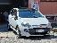FIAT Punto 1.2 8V 3p. Lounge