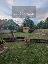 Appartamento 80 mq, soggiorno, 2 camere