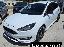 FORD Focus 1.5 TDCi 120 CV S&S ST Line