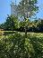 Villa 550 mq, soggiorno, 4 camere
