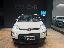 FIAT Panda 1.0 GSE Hybrid Street Van 4 p.ti