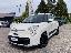 FIAT 500L 1.4 95 CV Pop Star