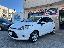 FORD Fiesta 1.2 82 CV 5p. Titanium