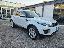 LAND ROVER RR Evoque 2.0 TD4 150 CV 5p. Bs Ed. SE