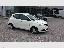 LANCIA Ypsilon 1.2 69 CV 5p. Silver