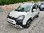 FIAT Panda 1.0 FireFly S&S Hybrid Pandina