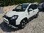 FIAT Panda 1.0 FireFly S&S Hybrid Pandina