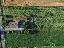 Terreno agricolo di 13.500 mq - via lughese, forlì
