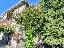 Trifamiliare 230 mq, soggiorno, 5 camere, zona Lama Polesine