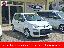 FIAT Pandina 1.0 FireFly 65 CV Hybrid Icon