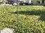 Terreno 800 mq, zona Tombelle