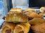 Pasticceria- rosticceria