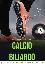 Noleggio calcio carambola gigante noleggio strutture per eve