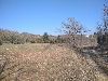 Terreno agricolo in Istria