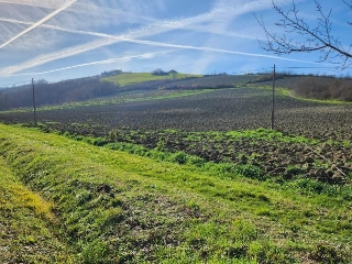 zoom immagine (Terreno agricolo in vendita a bertinoro)