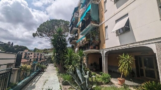 zoom immagine (Appartamento 55 mq, soggiorno, 1 camera, zona Rapallo)