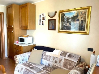 zoom immagine (Appartamento 40 mq, soggiorno, 1 camera, zona Roncola)