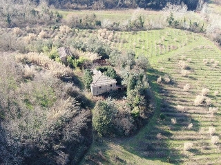 zoom immagine (Rustico 605 mq, soggiorno, più di 3 camere, zona Usigliano)