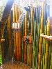 Vendo canne di bambù bambu con diametro da 1 a 10 cm.