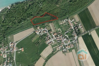 zoom immagine (Terreno 13700 mq, zona Cassegliano)
