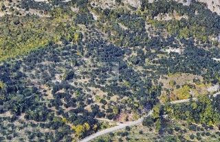 zoom immagine (Terreno 6746 mq, zona Varignano)