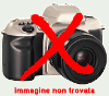 Corsi di lingue Axa, Palocco, Infernetto, Acilia, Ostia, Eur